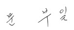 CEO Signature